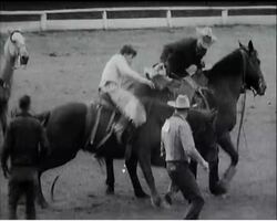 RODEO News Clip