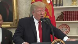 Trump: Tax Cuts Will Restore US Competitive Edge News Clip