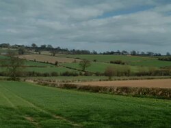 T/L shadows over Linseed rape fields, wide angle, April, UK. take 2#AC85, UK Stock Footage