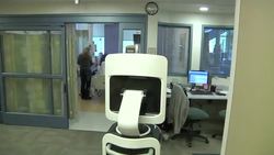 Telepresence robots allow physicians to "beam" themselves into hospitals to diagnose patients and offer medical advice during emergencies. Dignity Health now uses them at most of its 32 California hospitals. (Nov. 18) News Clip