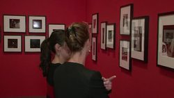 CLEAN : Limelight falls on Paparazzi in new French News Clip