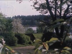 Sweden 1970s - a mapping of Sweden's natural landscapes and agriculture Stock Footage