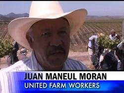 As migrant workers from Mexico come to the U.S. for seasonal work, public health officials and others are trying to intercept them at food lines and churches in hopes of stemming the spread of deadly swine flu. News Clip