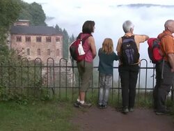 MS Hiker at viewpoint / Kastel-Staadt, Rhineland-Palatinate, Germany                            Stock Footage