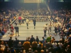 Boxing Match Stock Footage