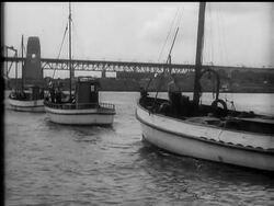 Tackling the shark menace. News Clip