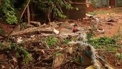 CLEAN : Sierra Leone: Red Cross continues aid as death toll rises News Clip