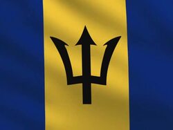 Barbados flag Stock Footage