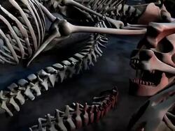 (Loop) Halloween, Field of humans skeletons Stock Footage