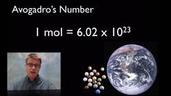 The Mole Instructional Video