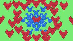 Can Math Explain How Animals Get Their Patterns? Instructional Video