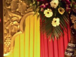 Portrait of a Indian bride talking on a mobile phone  Stock Footage