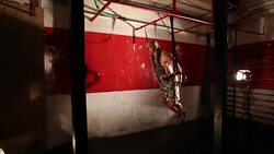 Man at the gym Stock Footage