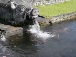 CU Water falling from statue at water temple / Tirta Ganga, Indonesia  Stock Footage