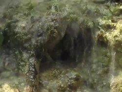 Spring water 2 Stock Footage