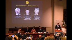 CLEAN : Trio win Nobel medicine prize for brains GPS News Clip