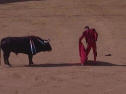 MS Matador holding sword in bullfighting for makes bull wounding / Ronda, Spain Stock Footage