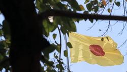 Buddhist Flag Stock Footage