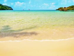 Tropical beach Stock Footage