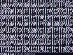 Black and White Stock Footage