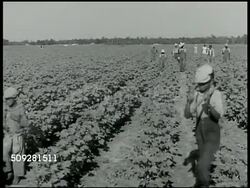 People working fields Instructional Video