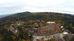 Aerial Portland SW Forest Stock Footage