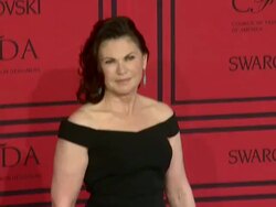 Colleen Atwood at 2013 CFDA Fashion Awards - Arrivals Stock Footage