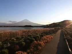 HD: Fujisan Landscape at kawaguchiko lake Stock Footage