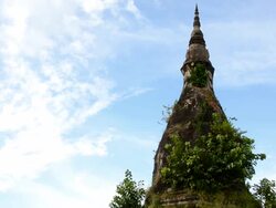 The Pagoda tree Stock Footage