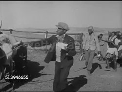1940s: SOUTH AFRICA: BANTUS: VS South African Bantu farmers herding cattle, ox, into pen. VS Bantu people during annual auction, paying w/ cattle, men counting money at window, line for window booth. Farm, agriculture, country, plains, livestock Instructional Video