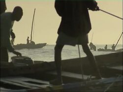 African coast. Stock Footage