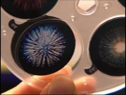 Techie toys take centre stage News Clip