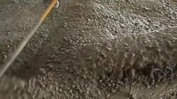 Building construction worker pouring cement or concrete for flooring. Stock Footage