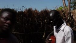 VOICED : The gospel band who sell mice kebabs News Clip