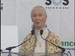 Live Earth New York press room Stock Footage