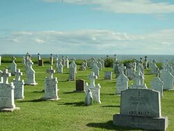 View of a cemetery  Stock Footage