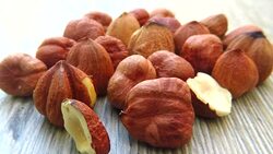 Hazelnut Stock Footage