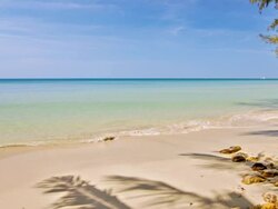 Beach and palm tree shadow Stock Footage