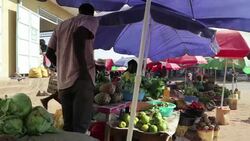 CLEAN : South Sudan: a year of war in a divided nation News Clip