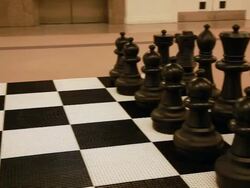 Giant Chess Stock Footage