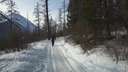 Man shoots nature Stock Footage