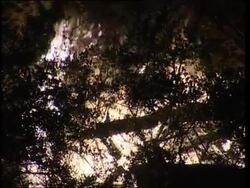 Athens fires recede, burnt hillside shows extent of damage Instructional Video