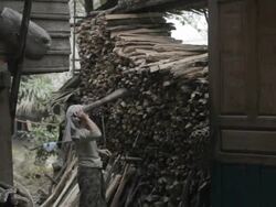 WS women stacking wood / Xam Neua, Laos Stock Footage