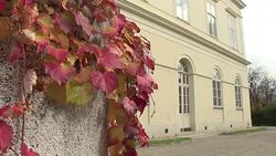 CLEAN : France sells Viennese palace to Qatar News Clip