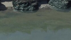 CLEAN : Olympics: Sewage and pollution in Guanabara Bay News Clip