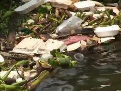 Refuge Stock Footage