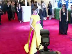 Elettra Rossellini Wiedemann at "PUNK: Chaos To Couture" Costume Institute Gala Stock Footage