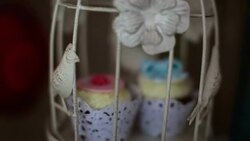 Muffins Stock Footage