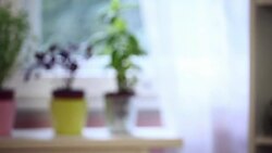 Preparing Turkey for Thanksgiving Dinner Stock Footage