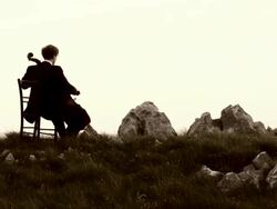 CRANE: Playing Cello In Nature Stock Footage